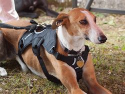 Journée rencontre du 9 Juin 2019