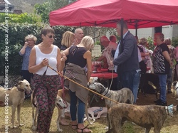 Journée rencontre du 9 Juin 2019