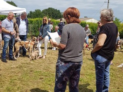Journée rencontre du 9 Juin 2019