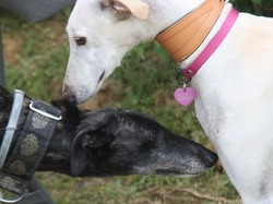 Journée rencontre du 9 Juin 2019
