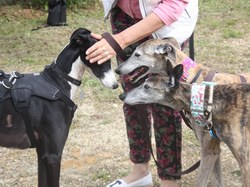 Journée rencontre du 9 Juin 2019