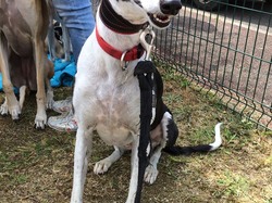 Journée rencontre du 9 Juin 2019