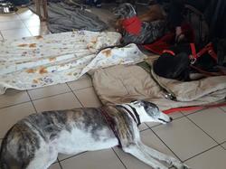 Journée rencontre du 9 Juin 2019