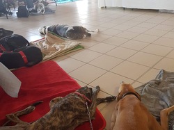 Journée rencontre du 9 Juin 2019