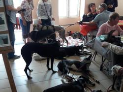 Journée rencontre du 9 Juin 2019