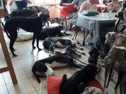 Journée rencontre du 9 Juin 2019