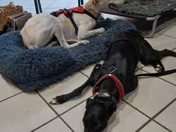 Journée rencontre du 22.06.2025