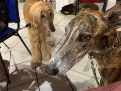 Journée rencontre du 22.06.2025