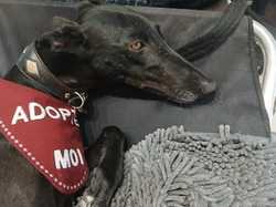 Journée rencontre du 22.06.2025