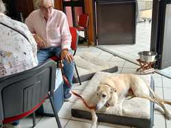 Journée rencontre du 22.06.2025