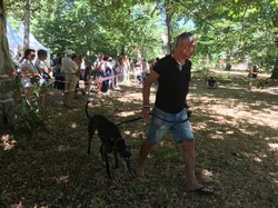La Fête du Chien à Arès le 07.08.2022.