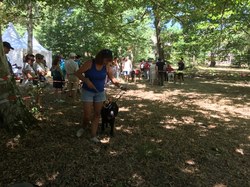 La Fête du Chien à Arès le 07.08.2022.