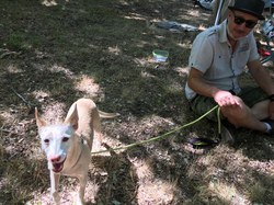 La Fête du Chien à Arès le 07.08.2022.