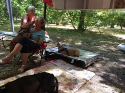 La Fête du Chien à Arès le 07.08.2022.