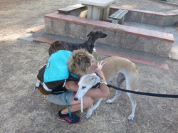 La Grande Motte : 3 adoptions le 09.09.2016