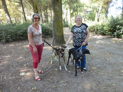 La Grande Motte : 3 adoptions le 09.09.2016