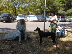 La Grande Motte : 3 adoptions le 09.09.2016