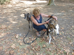 La Grande Motte : 3 adoptions le 09.09.2016