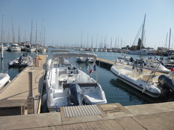 La Grande Motte : 3 adoptions le 09.09.2016