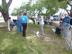 Les Andernochats le 21.05.2016