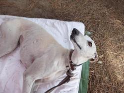 Les Andernochats le 21.05.2016