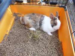 Les Andernochats le 21.05.2016