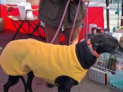 Marché de Noël le 17.12.2023 à Biganos