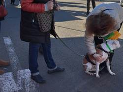 Marché de Noël le 17.12.2023 à Biganos