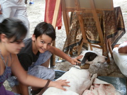 Médiévales Cadaujac Chateau Bardins 2014