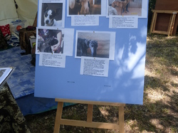 Médiévales de Loupiac 06 et 07/06/2015