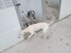 Nourriture Salamanca les 16 & 17.01.2024