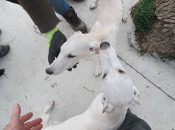 Nourriture Salamanca les 16 & 17.01.2024