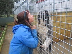 Nourriture Salamanca les 16 & 17.01.2024