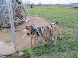 Nourriture Salamanca les 16 & 17.01.2024