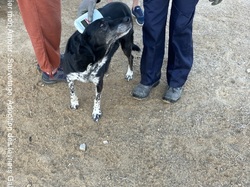 Salamanca les 6 & 7.10.2023