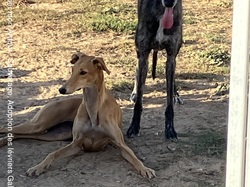 Salamanca les 6 & 7.10.2023