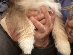 Salamanca les 18 & 19.03.2023