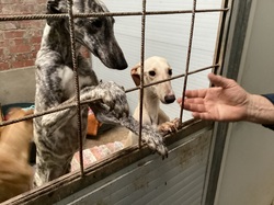 Salamanca les 18 & 19.03.2023