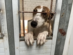 Salamanca les 18 & 19.03.2023