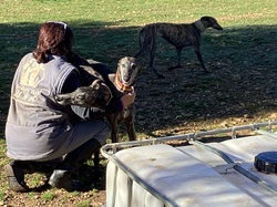 Salamanca les 18 & 19.03.2023