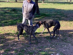 Salamanca les 18 & 19.03.2023