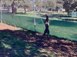 Salamanca les 18 & 19.03.2023