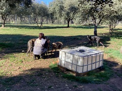 Salamanca les 18 & 19.03.2023