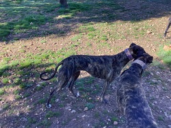 Salamanca les 18 & 19.03.2023