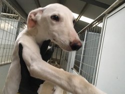 Salamanca les 7 et 8.10.2022