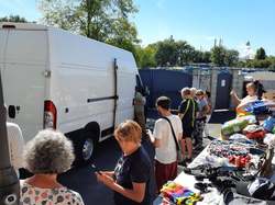 Sauv.  le 08.10.2021 de 11 galgos Salamanca