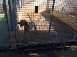 Sauvetage à Salamanca les 27 & 28.10.2018