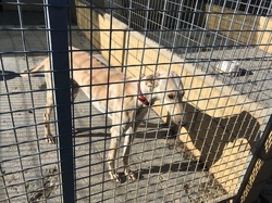 Sauvetage à Salamanca les 27 & 28.10.2018