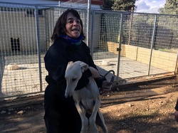 Sauvetage à Salamanca les 27 & 28.10.2018