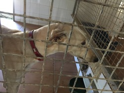 Sauvetage à Salamanca les 27 & 28.10.2018